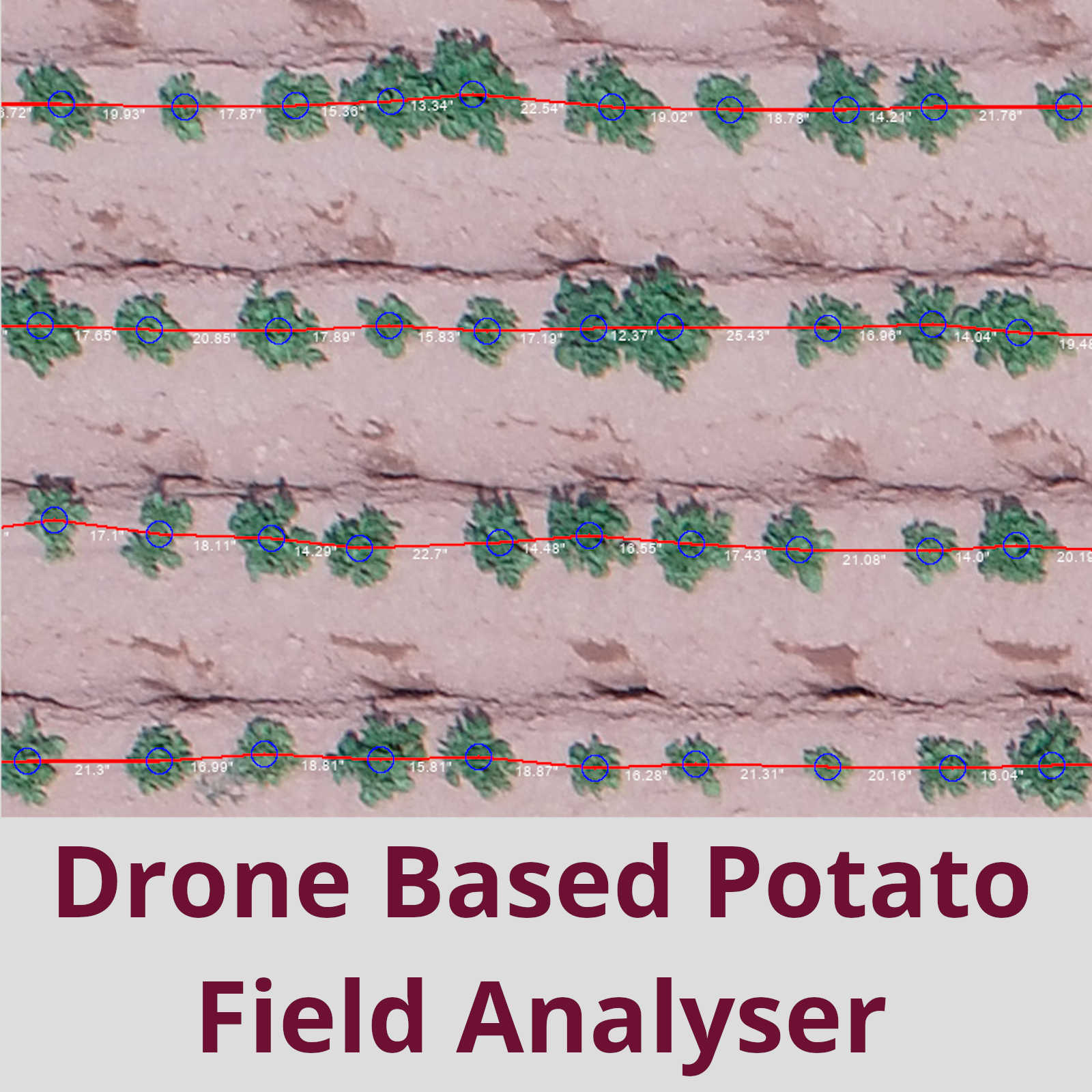 Field Analyser